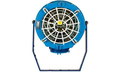 fcg flameproof floodlight