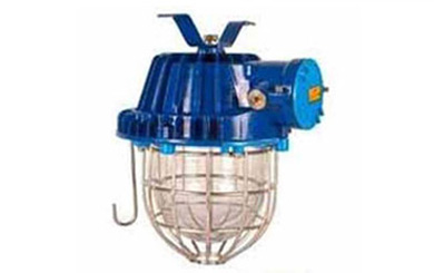 Sudhir Flameproof LED Light