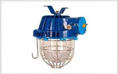 flameproof light fittings explosion proof light fittings supplier india