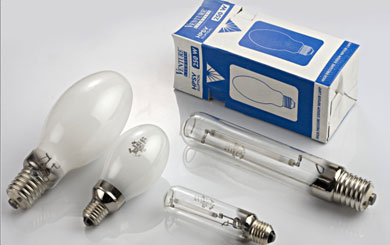 leading metal halide lamps exporter india